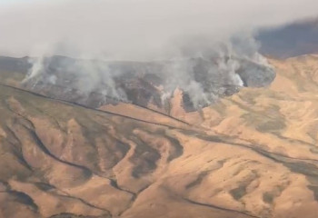 Степной пожар удалось локализовать в Жамбылской области