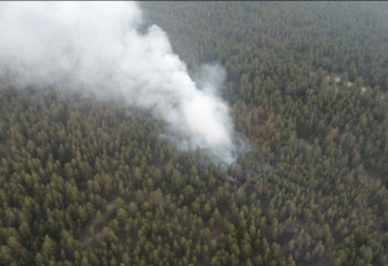 Пожар в области Абай: лес тушат 130 человек, огнеборцы из соседних регионов скоро прибудут на помощь