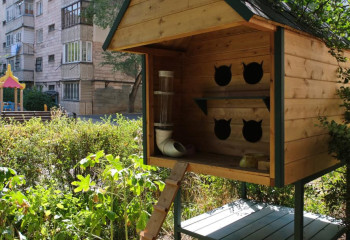 20 домиков с кормушками для кошек установили в Алматы