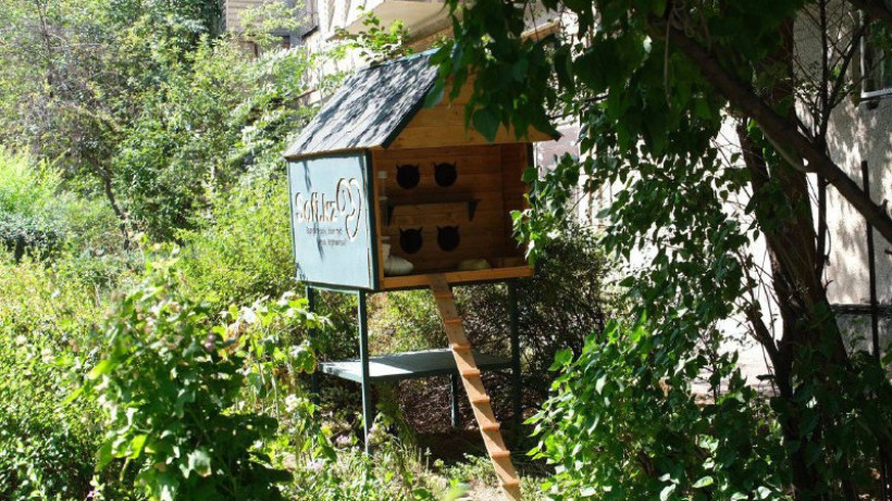  Алматы әкімдігінің баспасөз қызметі 