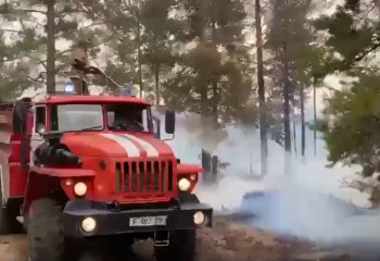 Близ Семея снова горит лес