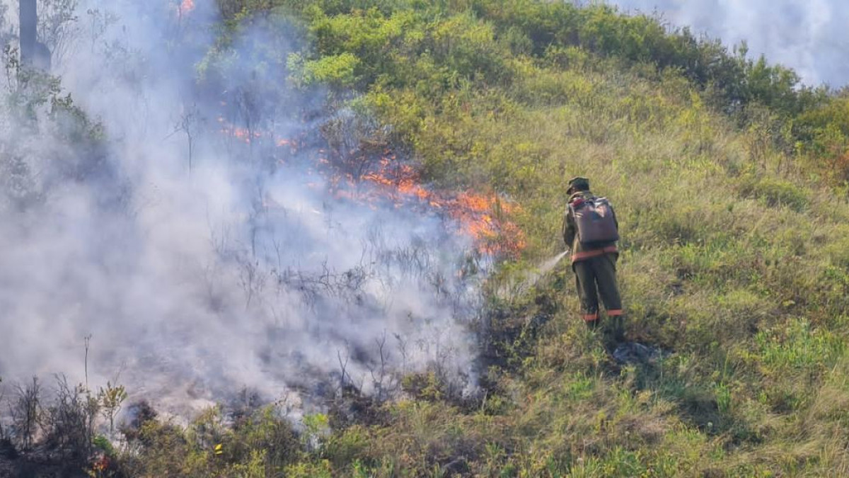 В горах Восточно-Казахстанской области тушат пожар