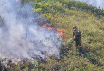 В горах Восточно-Казахстанской области тушат пожар