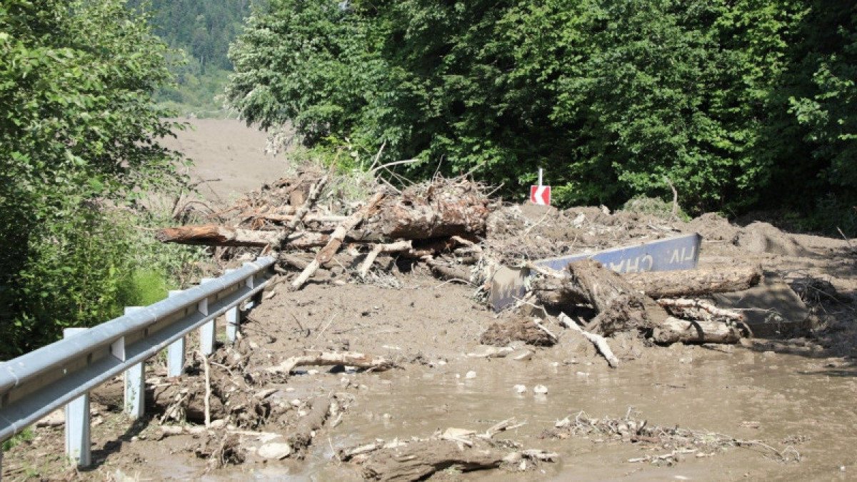 Мэр Тбилиси сообщил о полном уничтожении курорта Шови