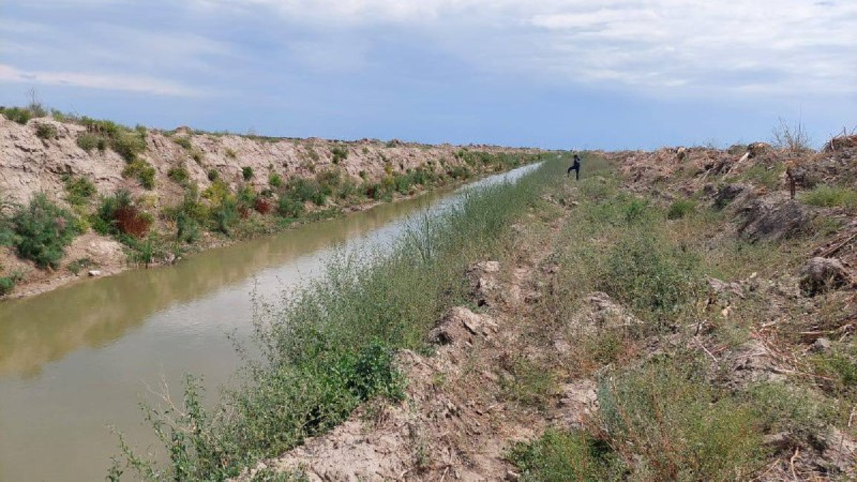 Тело пропавшей семилетней девочки нашли в канале в Кызылординской области