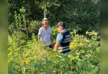 Свыше 600 кустов конопли выращивал житель Туркестанской области