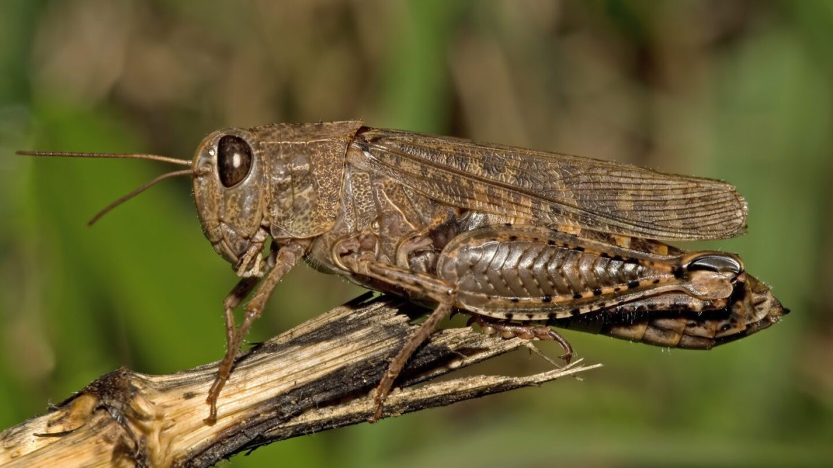  gov.kz 