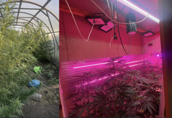 Рудный тұрғынынан қарасора мен қару-жарақ табылды