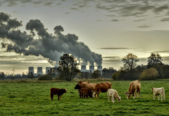 Жители Шымкента жалуются на цементный завод, из-за которого не могут дышать
