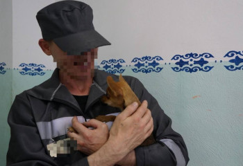 Хатико из Казахстана: собака ждала осужденного хозяина у двери дома каждый день