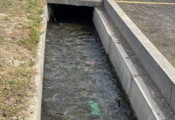 Двое детей утонули в Шымкенте