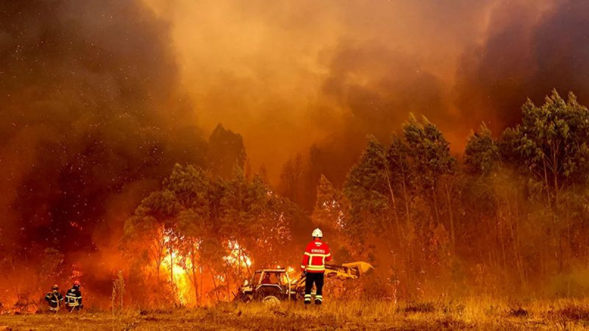 В Португалии и Испании бушуют лесные пожары