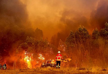 В Португалии и Испании бушуют лесные пожары