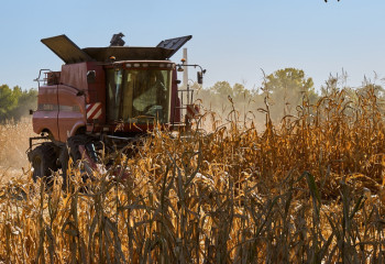 Қазақстанда ауыл шаруашылығы кооперативтерінің саны артты