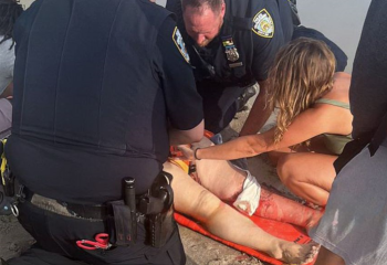 Нью-Йоркте акула адамға шабуыл жасады