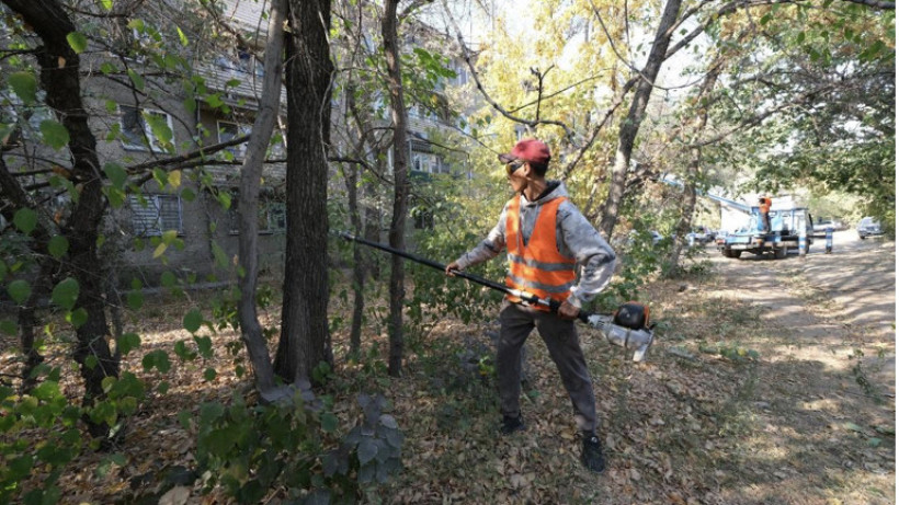  Алматы қалалық әкімдігі 