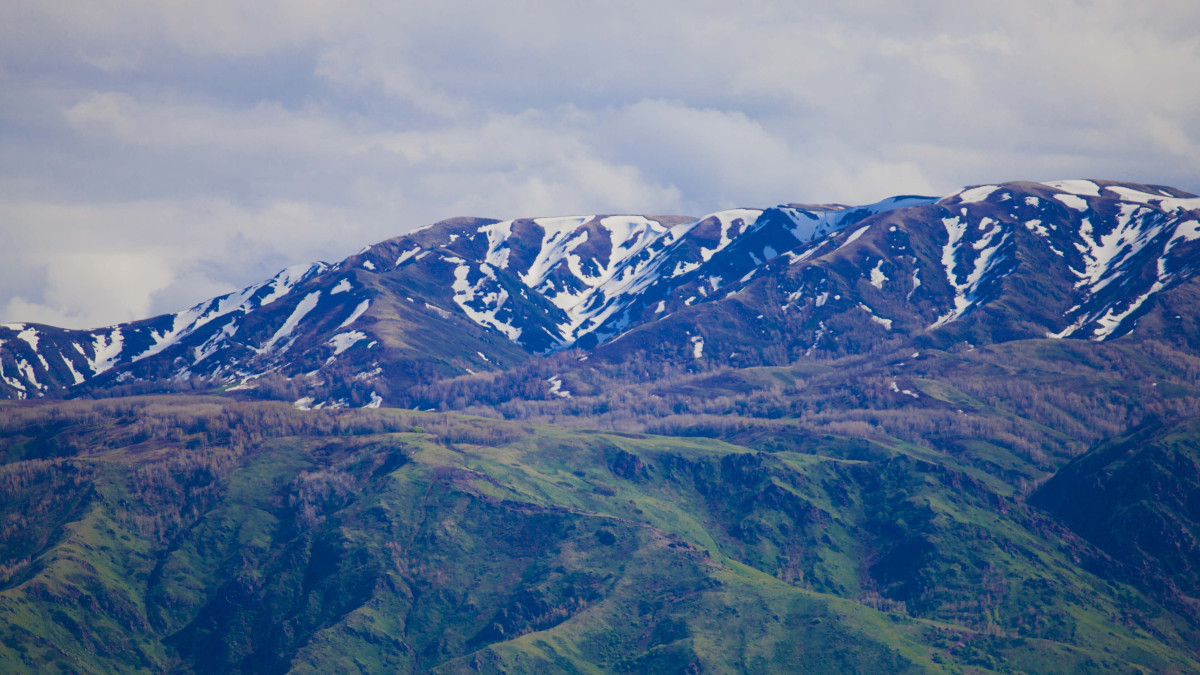  © El.kz 