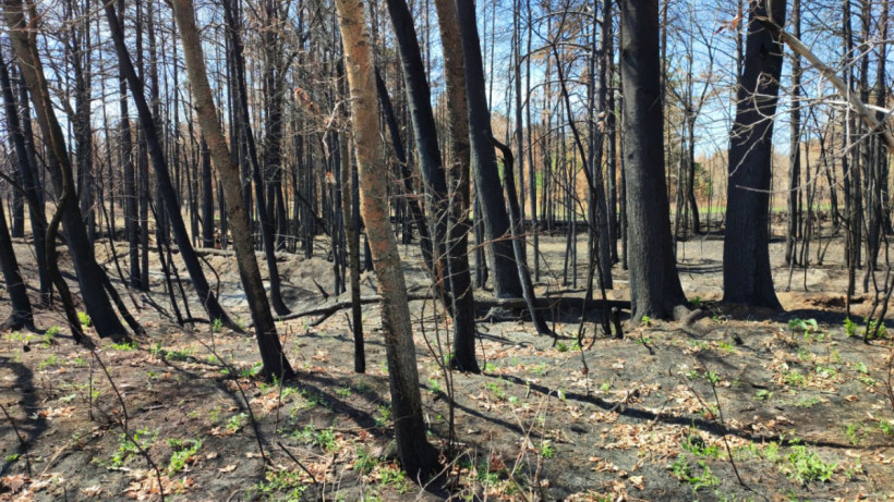  ©El.kz/Рустем ОМАРОВ 