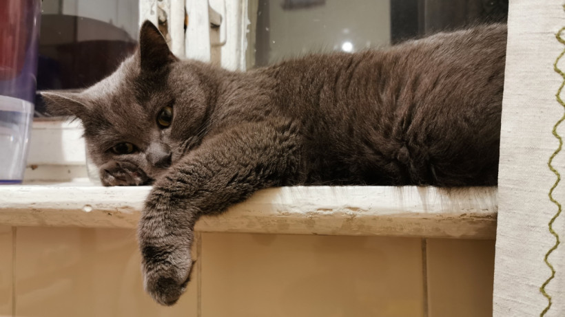  ©El.kz/Марина РУЗМАТОВА 