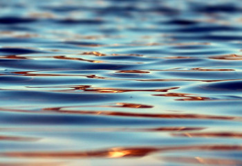 21-летняя девушка в нетрезвом виде купалась ночью в Капчагайском водохранилище и утонула