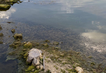 Столичный Есиль превратился в болото