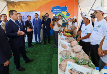 «В следующем году мы выделим еще 100 млрд тенге на «Ауыл аманаты» - Алихан Смаилов