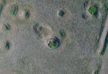 ІІМ заңсыз айналымнан 8,5 тоннадан астам есірткі тәркіледі