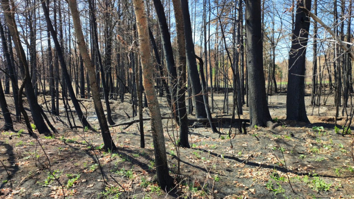  ©El.kz/Рустем ОМАРОВ 