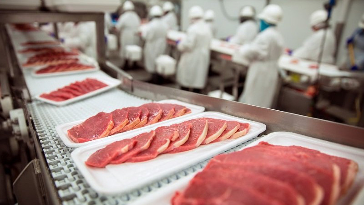 В Китае был запущен первый в мире завод по производству искусственного мяса