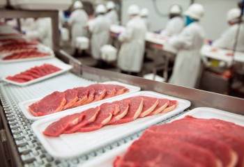 В Китае был запущен первый в мире завод по производству искусственного мяса