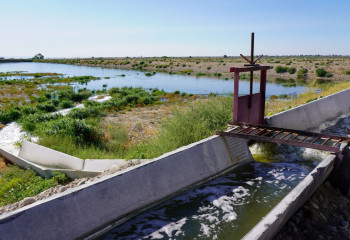 Үкімет басшысы Таразда жаңа тазарту қондырғыларын тез арада салуды тапсырды