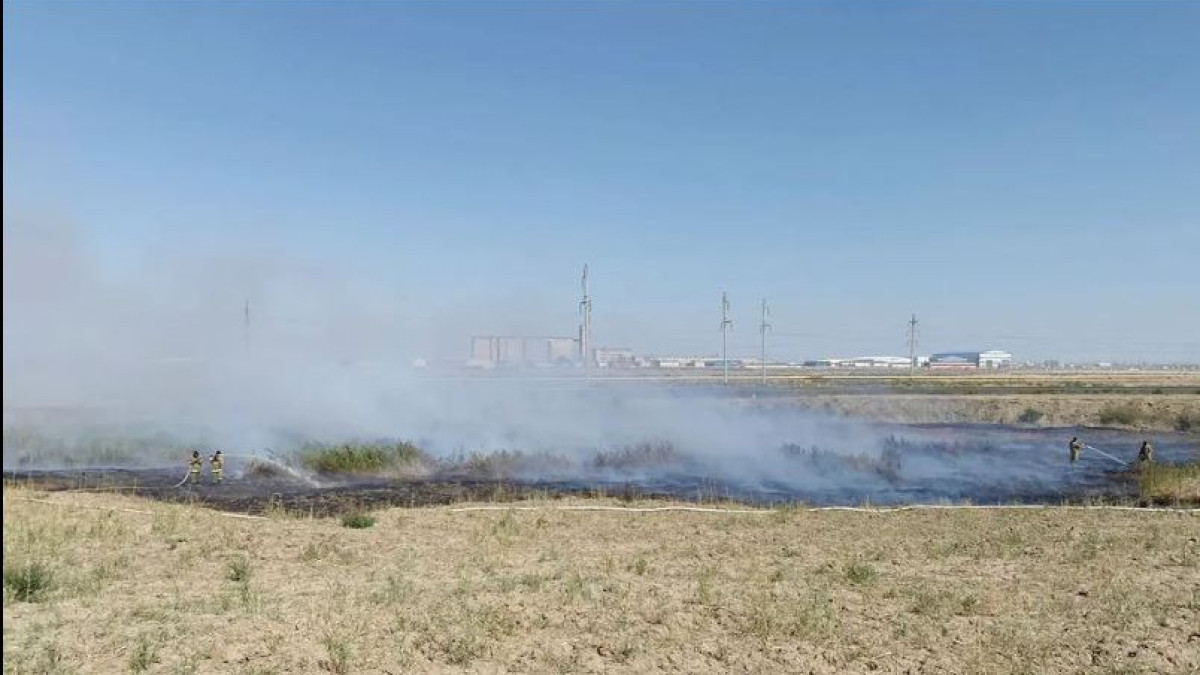 Трава и камыш загорелись в промышленной зоне Атырау