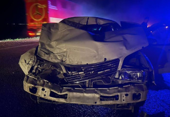 В Павлодарской области совершен наезд на лошадей: 5 человек пострадало