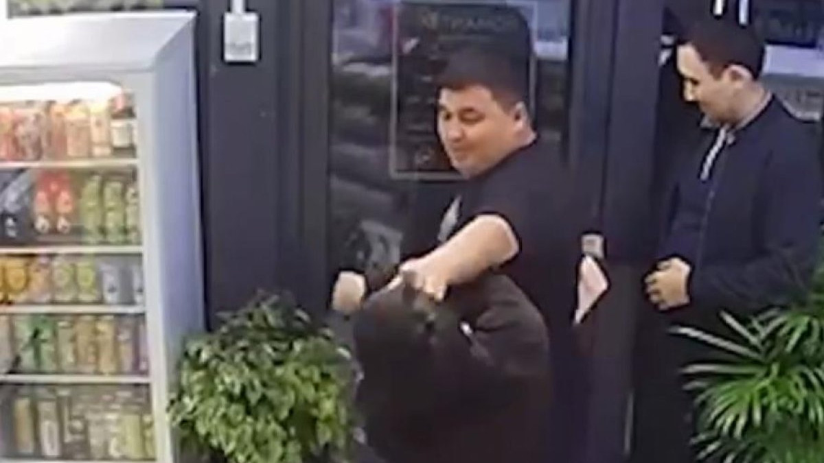  Видеодан кадр 