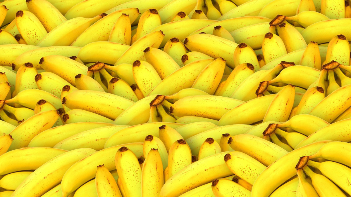 Елімізде алғаш рет өнеркәсіптік ауқымда банан өсіріле бастады