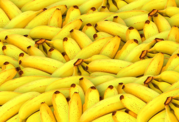 Елімізде алғаш рет өнеркәсіптік ауқымда банан өсіріле бастады