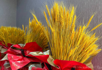 Казахстан стал продавать больше и дешевле пшеницу за рубеж - аналитики