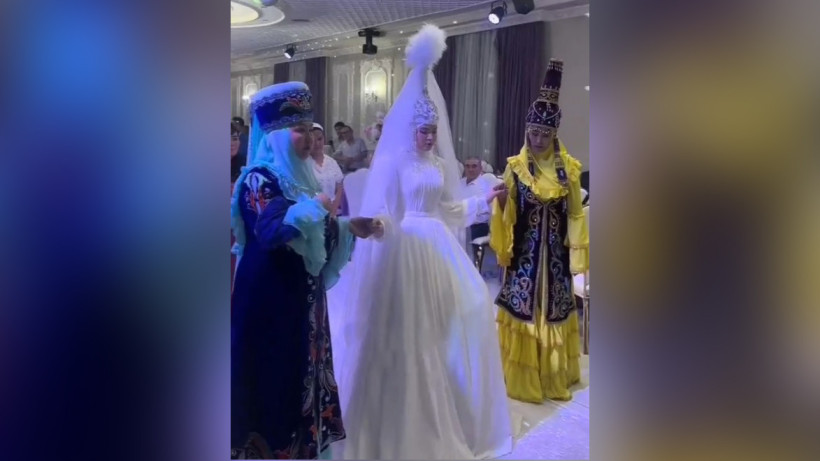  Видеодан кадр 