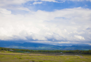 Алматыда құны 7 млрд теңге тұратын жер телімдері мемлекетке қайтарылды