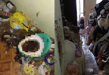 Алматыдағы «Маугли» балалар: полиция оқиғаның мән-жайын айтты