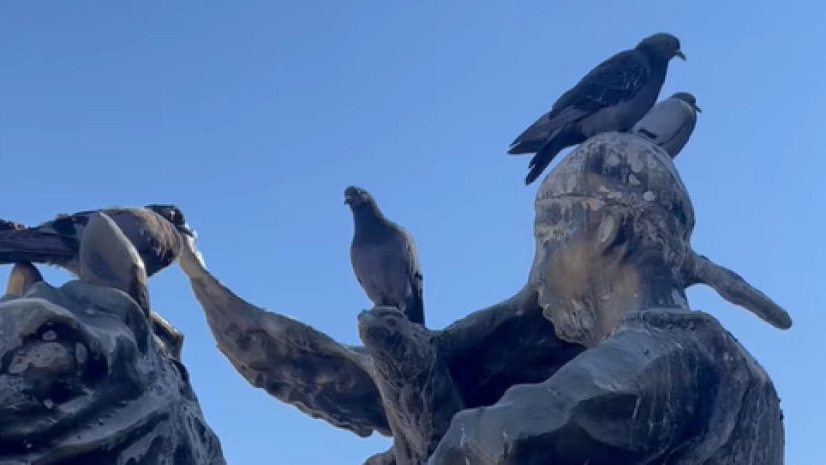  Видеодан кадр 