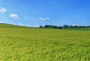 Маңғыстауда құны 7 млрд теңгеден асатын жер учаскелері қайтарылды