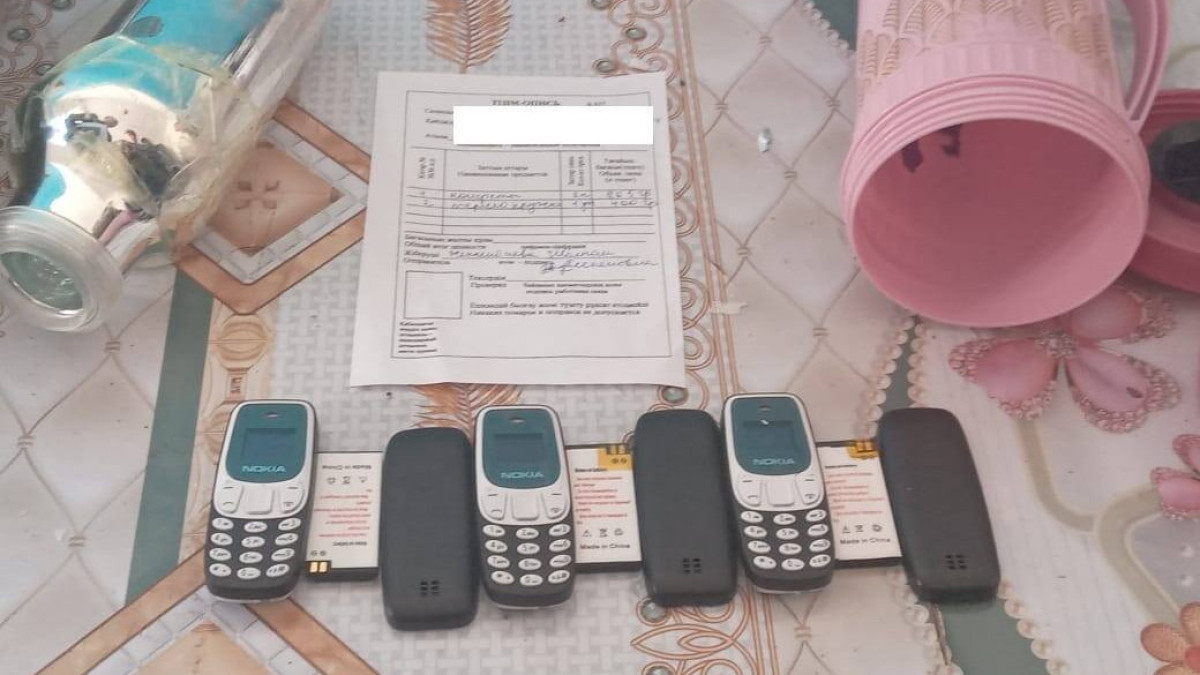 Три кнопочных телефона отправила почтой карагандинка в колонию Жезказгана