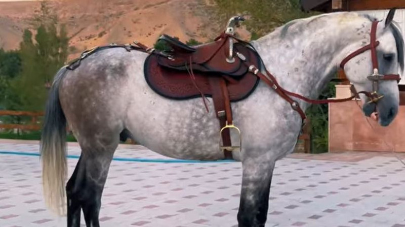  Видеодан алынған кадр 