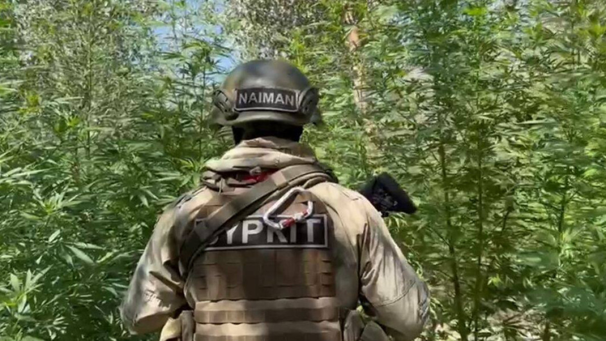  видеодан алынған кадр 