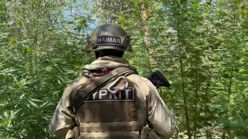  видеодан алынған кадр 