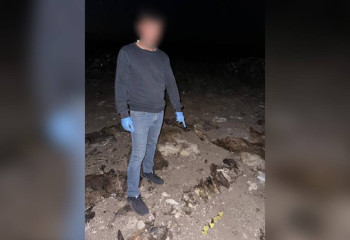 Ақмола облысында туған жиені кәсіпкердің 123 қойын ұрлап кеткен