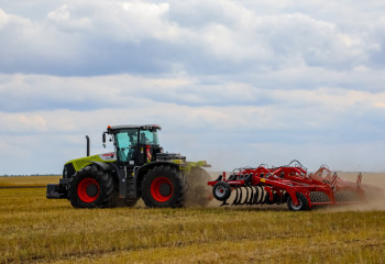 Елімізде 2,4 млн гектар жерден дәнді және дәнді-бұршақты дақылдар жиналған