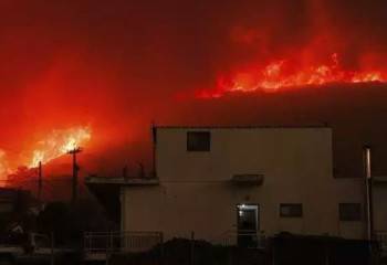 Греция: число жертв второй волны лесных пожаров выросло до 26