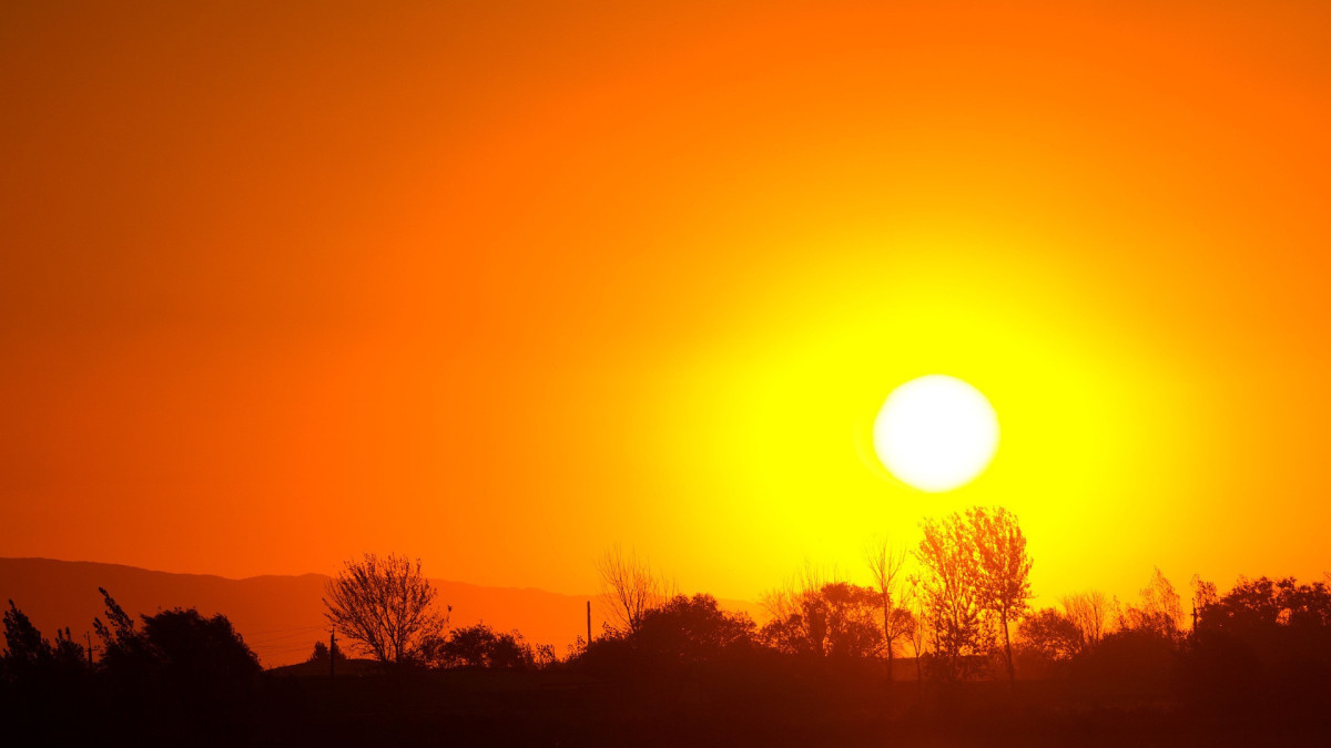 Во Франции объявлен «оранжевый» уровень опасности из-за аномальной жары